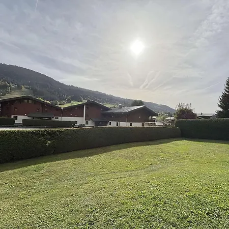 Appartamento Praz-sur-arly, 1 Pièce, 4 Personnes - Fr-1-603-28